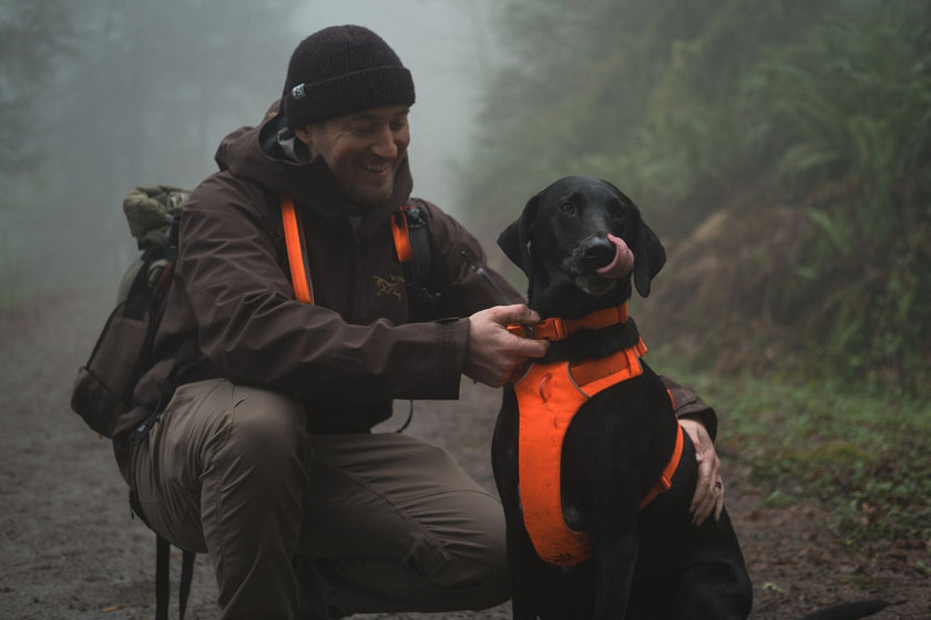 How to Fit and Adjust: Front Range® Harness Video Thumbnail