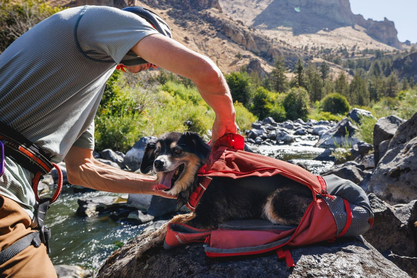 Hitch Hiker™ Backpack FAQs Video Thumbnail