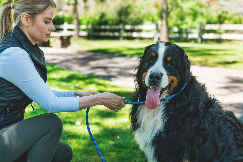 About: The Just-a-Cinch™ Leash Video Thumbnail