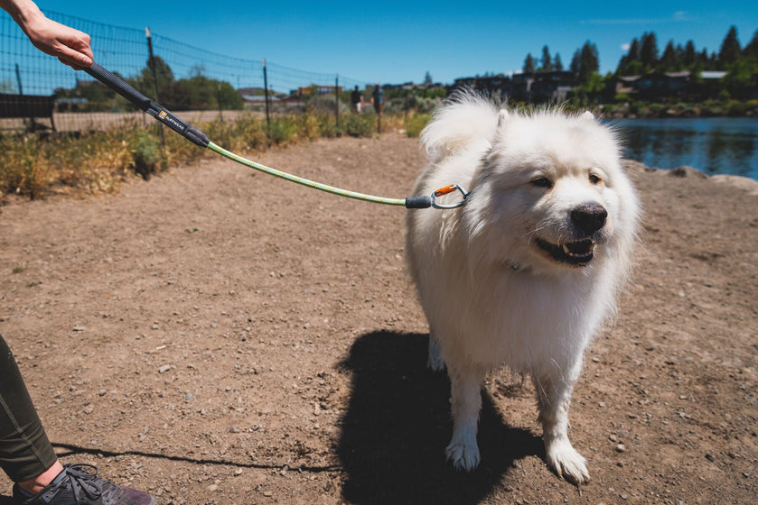 About: The Knot-a-Long™ Leash Video Thumbnail