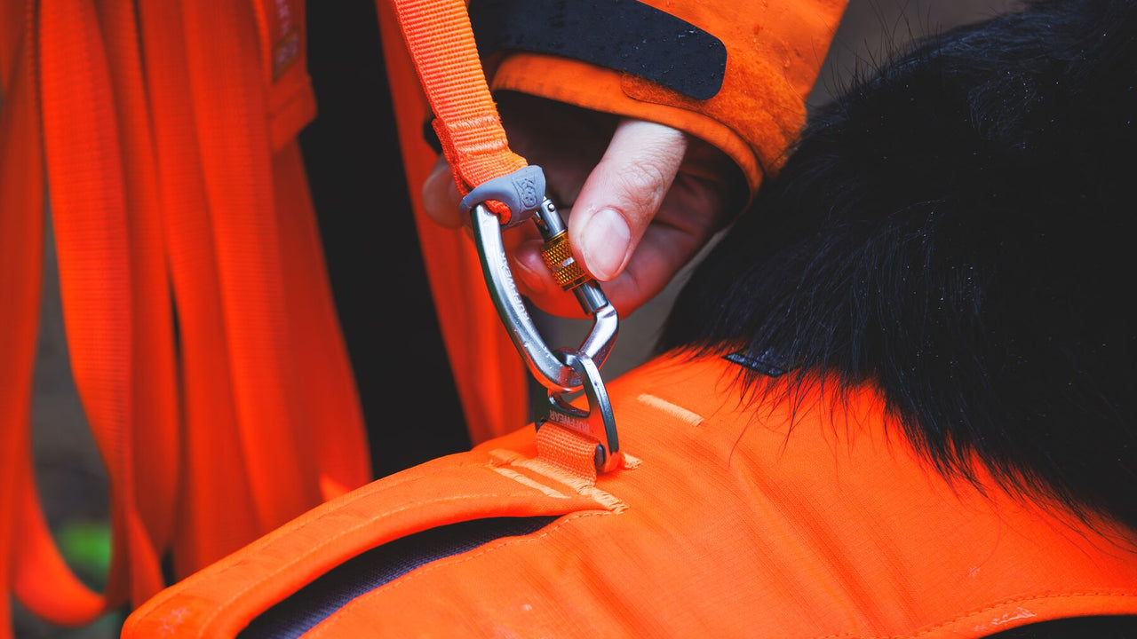 Locking Carabiner