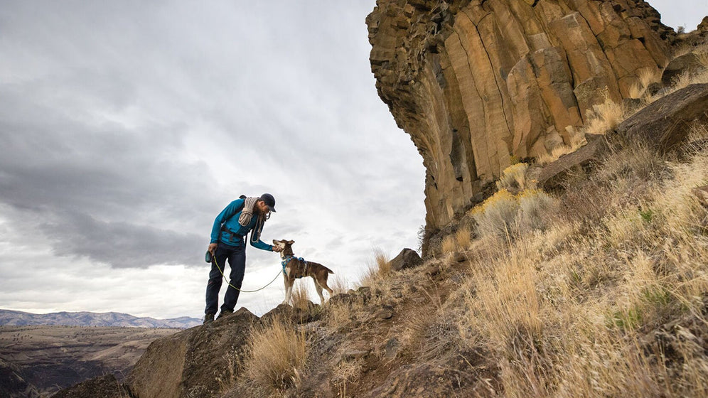 About the Hitch Hiker™ Dog Leash Video Thumbnail