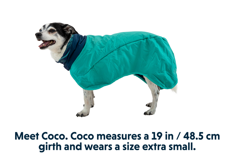 Aurora Teal