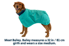 Aurora Teal