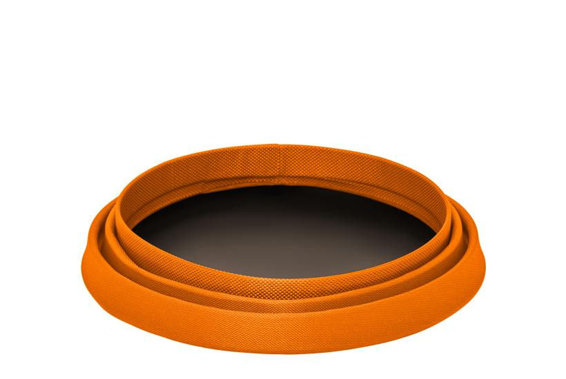 Salamander Orange