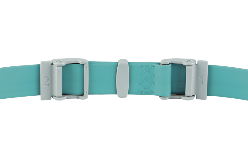 Aurora Teal